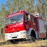 lisek 1